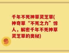 千年不死神草灵芝草(神奇草“不死之力”惊人，解密千年不死神草灵芝草的奥秘)