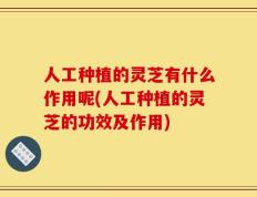 人工种植的灵芝有什么作用呢(人工种植的灵芝的功效及作用)