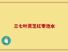 三七叶灵芝红枣泡水