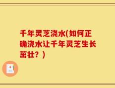 千年灵芝浇水(如何正确浇水让千年灵芝生长茁壮？)