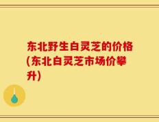 东北野生白灵芝的价格(东北白灵芝市场价攀升)