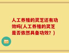 人工养殖的灵芝还有功效吗(人工养殖的灵芝是否依然具备功效？)