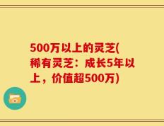 500万以上的灵芝(稀有灵芝：成长5年以上，价值超500万)