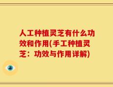 人工种植灵芝有什么功效和作用(手工种植灵芝：功效与作用详解)