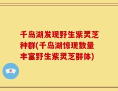 千岛湖发现野生紫灵芝种群(千岛湖惊现数量丰富野生紫灵芝群体)