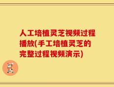 人工培植灵芝视频过程播放(手工培植灵芝的完整过程视频演示)