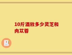 10斤酒放多少灵芝和肉苁蓉