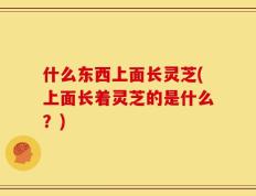 什么东西上面长灵芝(上面长着灵芝的是什么？)