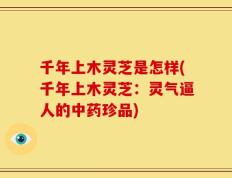 千年上木灵芝是怎样(千年上木灵芝：灵气逼人的中药珍品)