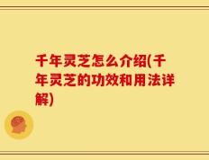 千年灵芝怎么介绍(千年灵芝的功效和用法详解)