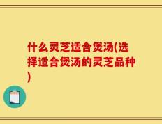 什么灵芝适合煲汤(选择适合煲汤的灵芝品种)
