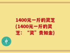 1400元一斤的灵芝(1400元一斤的灵芝：“灵”贵如金)