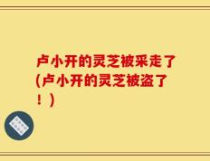 卢小开的灵芝被采走了(卢小开的灵芝被盗了！)