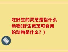 吃野生的灵芝是指什么动物(野生灵芝可食用的动物是什么？)