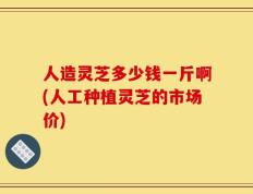 人造灵芝多少钱一斤啊(人工种植灵芝的市场价)