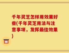 千年灵芝怎样用效果好些(千年灵芝用法与注意事项，发挥最佳效果)