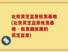 北京灵芝盆景批发基地(北京灵芝盆景批发基地 - 批发最优质的灵芝盆景)