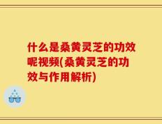 什么是桑黄灵芝的功效呢视频(桑黄灵芝的功效与作用解析)