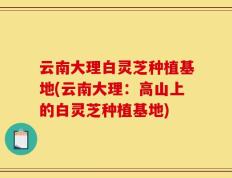 云南大理白灵芝种植基地(云南大理：高山上的白灵芝种植基地)