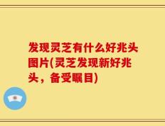 发现灵芝有什么好兆头图片(灵芝发现新好兆头，备受瞩目)