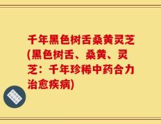 千年黑色树舌桑黄灵芝(黑色树舌、桑黄、灵芝：千年珍稀中药合力治愈疾病)