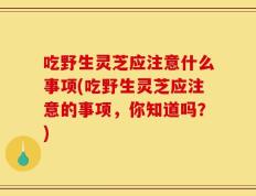 吃野生灵芝应注意什么事项(吃野生灵芝应注意的事项，你知道吗？)