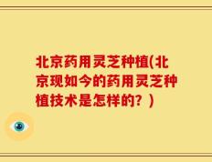 北京药用灵芝种植(北京现如今的药用灵芝种植技术是怎样的？)