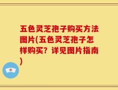 五色灵芝孢子购买方法图片(五色灵芝孢子怎样购买？详见图片指南)