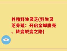 养殖野生灵芝(野生灵芝养殖：开启金蝉脱壳、转变蜕变之路)