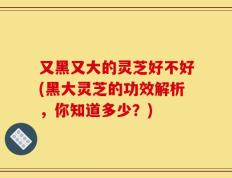 又黑又大的灵芝好不好(黑大灵芝的功效解析，你知道多少？)