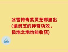 冰雪传奇紫灵芝哪里出(紫灵芝的神奇功效，极地之地也能收获)
