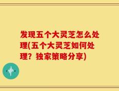 发现五个大灵芝怎么处理(五个大灵芝如何处理？独家策略分享)