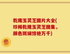 乾隆玉灵芝图片大全(珍稀乾隆玉灵芝图集，颜色斑斓惊艳万千)