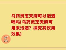 乌药灵芝天麻可以泡酒喝吗(乌药灵芝天麻可用来泡酒？探究其饮用效果)