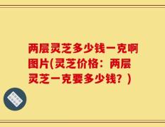 两层灵芝多少钱一克啊图片(灵芝价格：两层灵芝一克要多少钱？)
