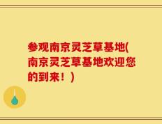 参观南京灵芝草基地(南京灵芝草基地欢迎您的到来！)