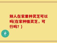 别人在家里种灵芝可以吗(在家种植灵芝，可行吗？)