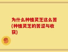 为什么种植灵芝这么苦(种植灵芝的苦涩与收获)