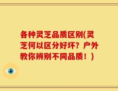 各种灵芝品质区别(灵芝何以区分好坏？户外教你辨别不同品质！)