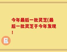 今年最后一批灵芝(最后一批灵芝于今年发现！