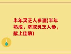 半年灵芝人参酒(半年熟成，萃取灵芝人参，献上佳酿)