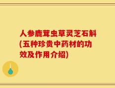 人参鹿茸虫草灵芝石斛(五种珍贵中药材的功效及作用介绍)