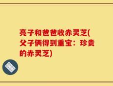 亮子和爸爸收赤灵芝(父子俩得到重宝：珍贵的赤灵芝)