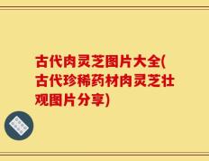 古代肉灵芝图片大全(古代珍稀药材肉灵芝壮观图片分享)