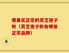 哪里买正宗的灵芝孢子粉（灵芝孢子粉有哪些正宗品牌）
