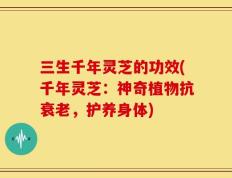 三生千年灵芝的功效(千年灵芝：神奇植物抗衰老，护养身体)