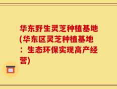 华东野生灵芝种植基地(华东区灵芝种植基地：生态环保实现高产经营)