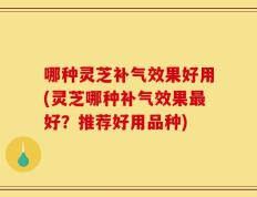 哪种灵芝补气效果好用(灵芝哪种补气效果最好？推荐好用品种)