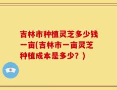 吉林市种植灵芝多少钱一亩(吉林市一亩灵芝种植成本是多少？)