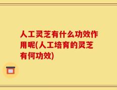 人工灵芝有什么功效作用呢(人工培育的灵芝有何功效)